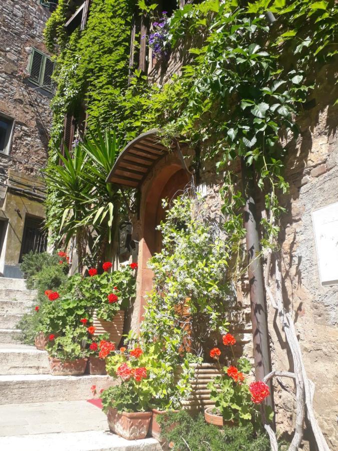 La Piazzetta Toscana B&B Campiglia Marittima Exteriér fotografie